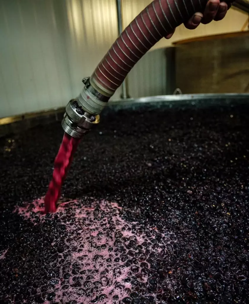 Remontage du vin pendant la vinification