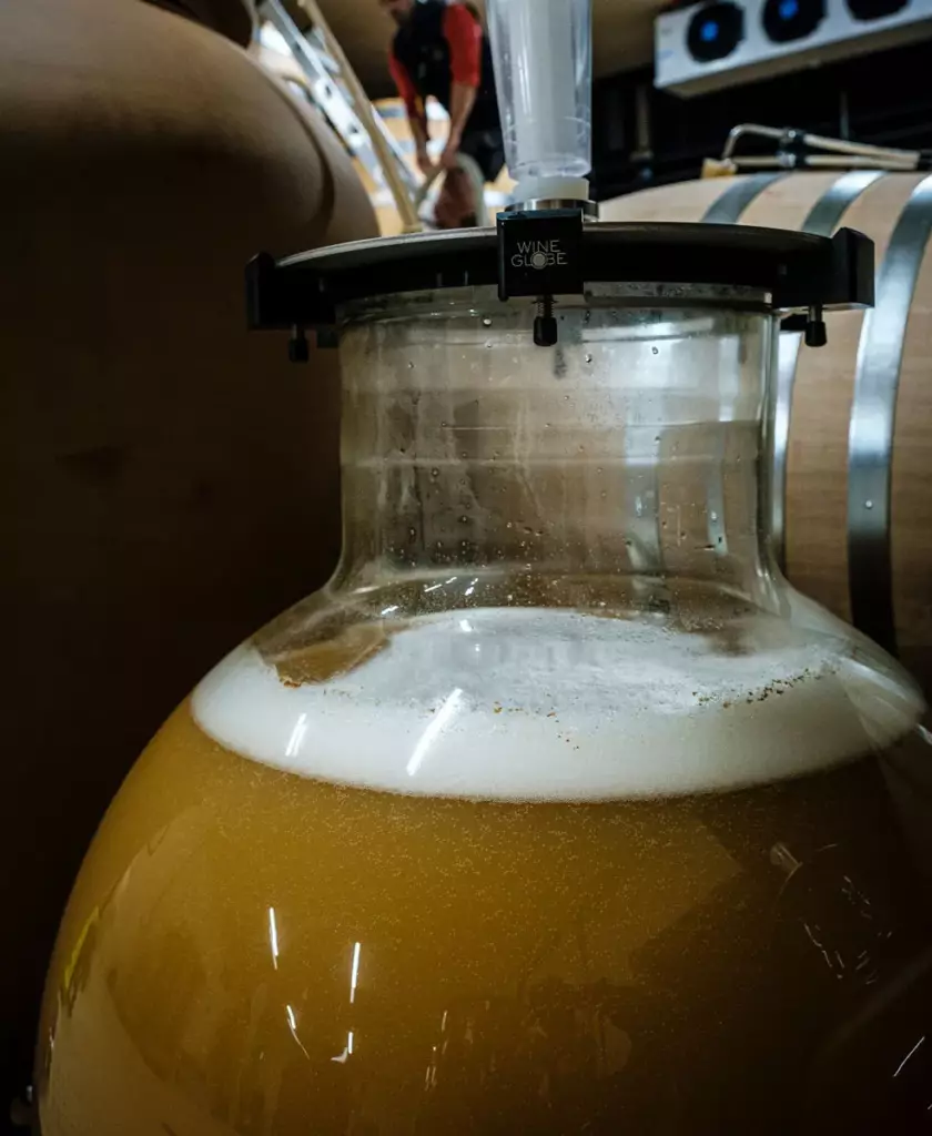 Wineglobe utilisé pour l’élevage au Domaine du Pré Semelé